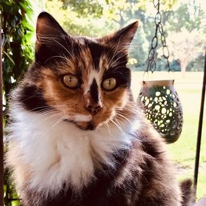 Meet your Posher, Canoegirl3